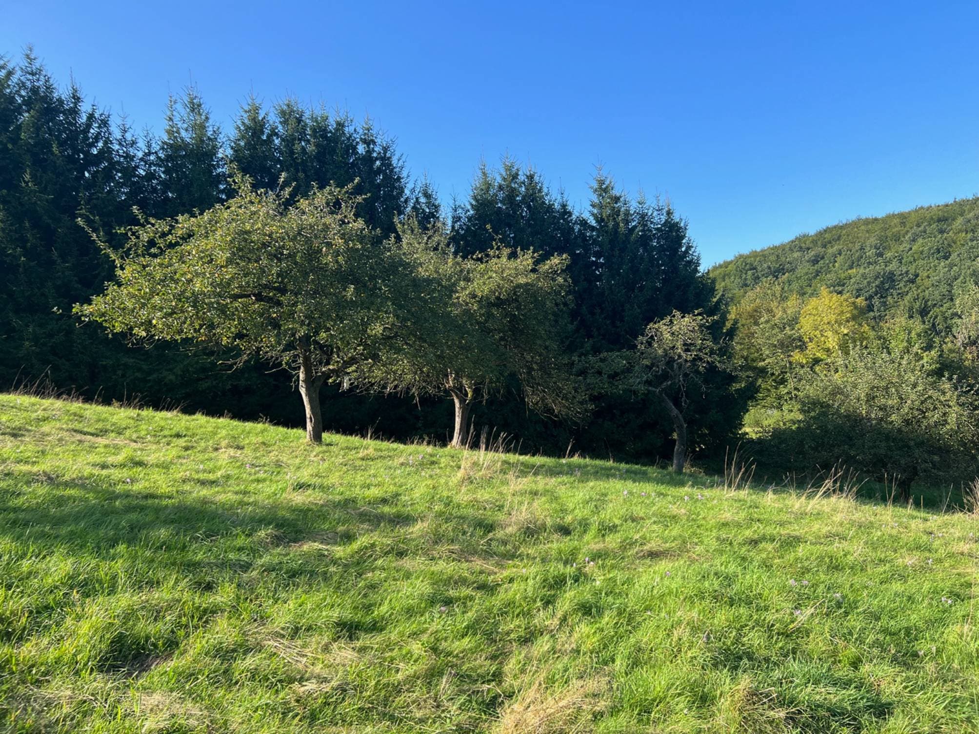 3400Â Weidlingbach